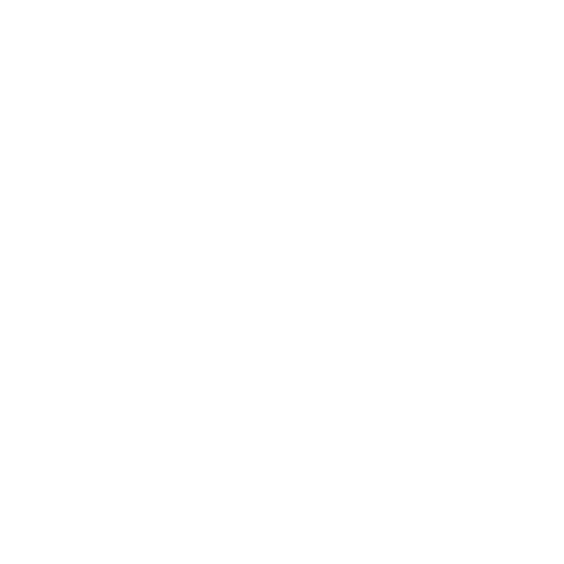 silueta quinceañera blanco